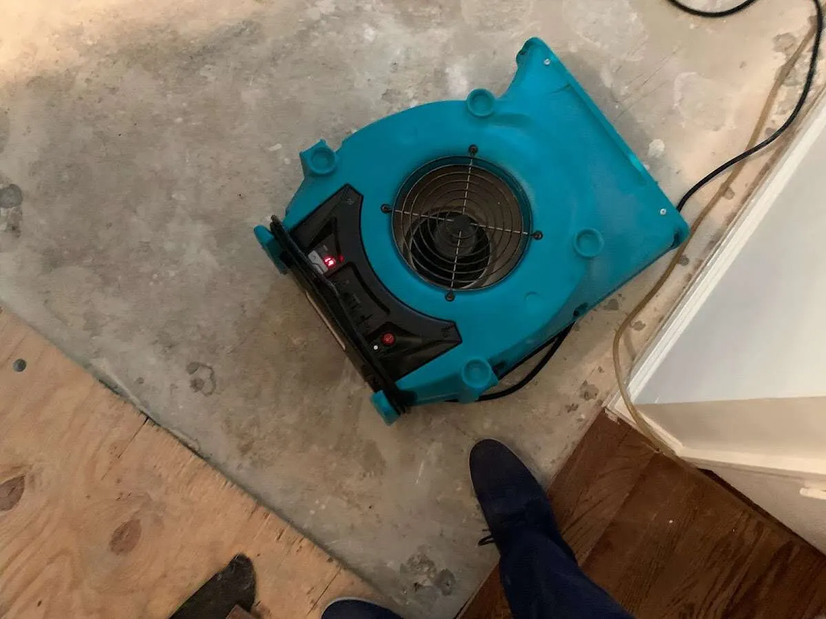 Air mover drying subfloor during Leak Detection & Repair in Mims
